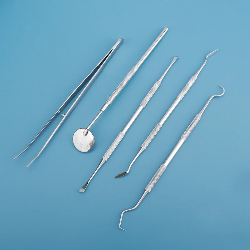 5×6Pcs/Bag Dental Tool Interde - đánh giá và giá Dental Floss Picks
