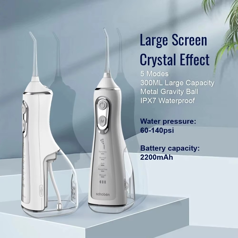 L15 Portable Oral Irrigator DI - đánh giá và giá Water Flosser Cordless