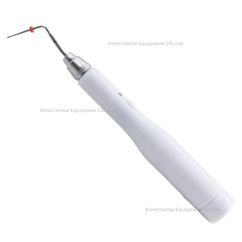 2026 Teeth Whitening Cordless  - đánh giá và giá Teeth Whitening Pen